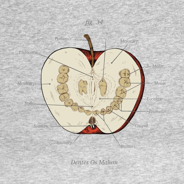 The Magnus Archives - Anatomy Class - Teeth Apple by Rusty Quill